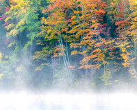Misty Fall Colors